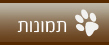 תמונות